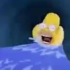 homer slide sd