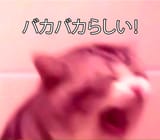 4323422
