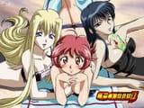 swimsuits