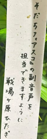 tanabata sodachi fiasco