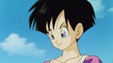which-videl-hairstyle-is-your-favorite-v0-t4y8twcmo6xe1