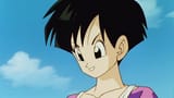Videl3