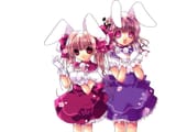 Konachan.com - 23765 - bunnygirl di_gi_charat 112