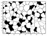 Micrograph-of-apple-cv-Cameo-parenchyma-tissue-Shaded-areas-are-intercellular-spaces
