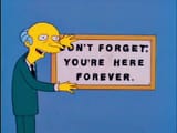 dont forget youre here forever