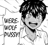 wp