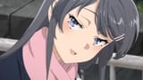 Rascal Does Not Dream of a Sister Venturing Out (BDRip 1080p HEVC Opus) [Dual-Audio] [63B1710E] [Arid] (002)
