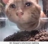 despair