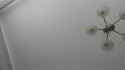 Showori__1941531542213492877_video_c_thumb.jpg