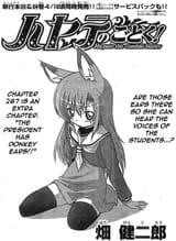 Hinagiku Donkey