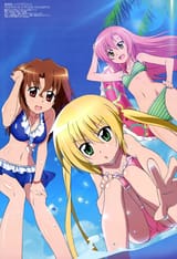 Beach 3