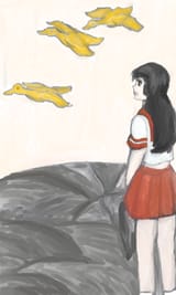 Nozomi hanafuda