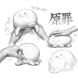 Tako pii