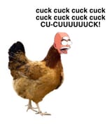 1728564191474726