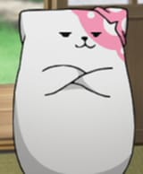 smug dogshroom