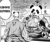 panda