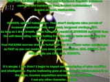 Inane Babble to a Savant