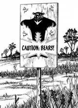 caution bears