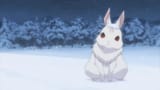 The_Rabbit_spots_Subaru