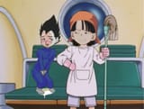 VEGETA AND PAN BONDING