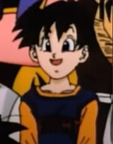 Videl6
