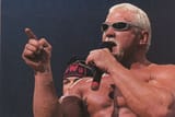 scottsteiner