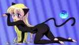 Becky cat