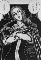 the Princess Gangster of Alabasta, from the UFO 2000 Doujinshi drawn by Kouta Hirano and other