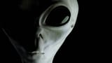 Ayy lmao