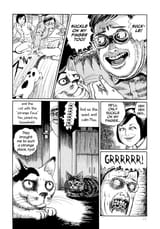 Junji-Itos-Cat-Diary-int