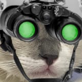1743897282025811