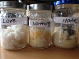 Dr.-Emoto-Love-Nothing-Hate-Rice-Experiment-min-3486061590