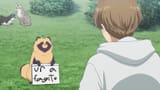 Urafagit