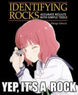 yep it&#039;s a rock