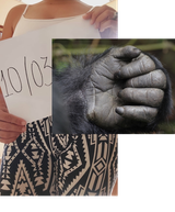1720532707643643