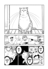 0261-007
