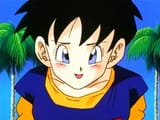 videl