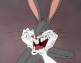 Bugs pissed