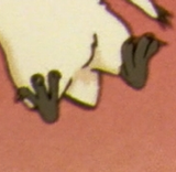 forbidden feet