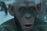 This is how Wada looks to me
