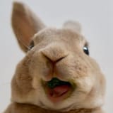 Me