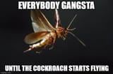 Cockichi
