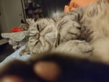 IMG_20231223_040838