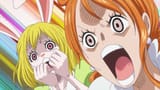 Carrot Nami scared