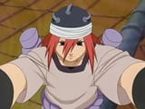 Tayuya wheelchair
