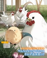 cock