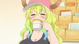 lucoa sipp