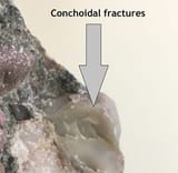 fracture