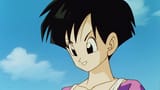 Videl