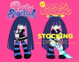 stockingcomparison
